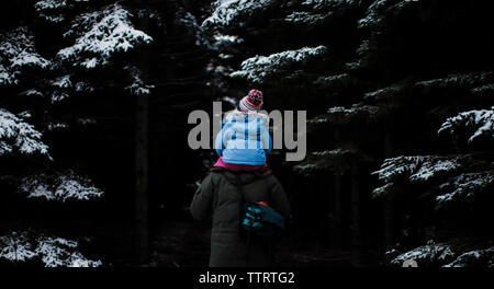 Vue arrière du père fille portant sur les épaules tout en marchant dans la forêt durant l'hiver Banque D'Images