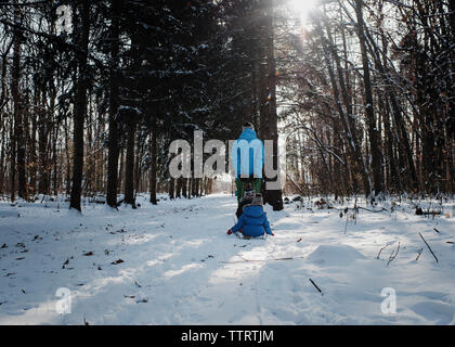 Vue arrière du père tirant des enfants assis sur un traîneau en forêt durant l'hiver Banque D'Images