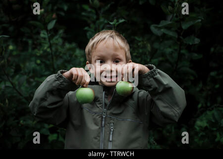 Portrait of cute smiling boy holding fresh apples de l'orchard Banque D'Images