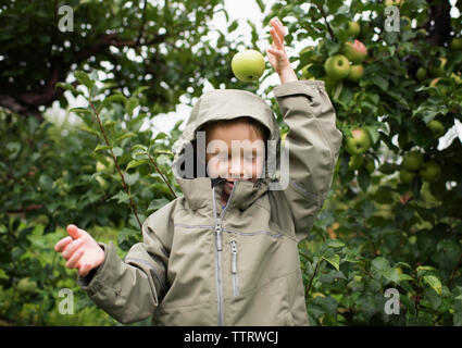 Boy wearing raincoat ludique sur apple baisse la tête contre les arbres fruitiers de l'orchard Banque D'Images