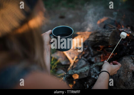 High angle view of woman cooking marshmallow sur feu de forêt Banque D'Images