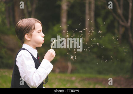 Vue latérale du boy blowing dandelion en se tenant sur le terrain en park Banque D'Images