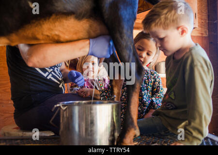 Les enfants à la chèvre fermier qui trait à la ferme à Banque D'Images