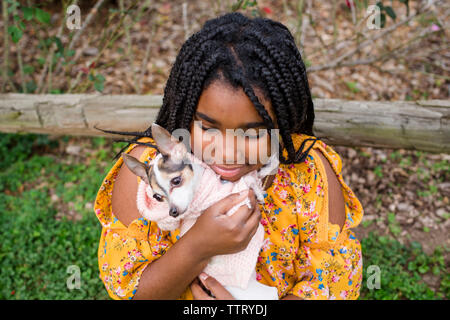 High angle view of smiling girl cute Chihuahua comptable tout en se tenant dans park Banque D'Images