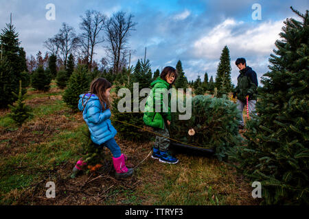 Les enfants avec père pine tree en faisant glisser contre traîneau ciel nuageux à farm Banque D'Images Les enfants avec père pine tree en faisant glisser contre traîneau ciel nuageux à farm Banque D'Images