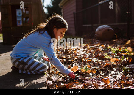 Une belle petite fille au coucher du soleil joue avec les feuilles dans le jardin Banque D'Images