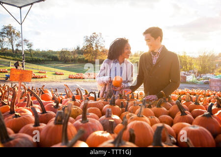 Heureux couple examinant les citrouilles dans le marché Banque D'Images
