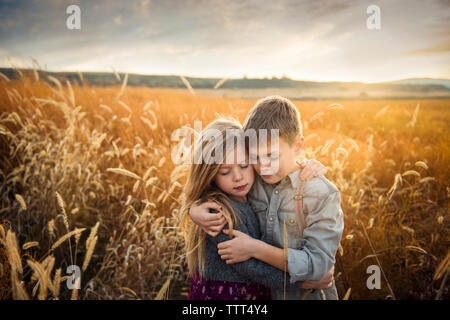 Frères et sœurs d'amour embrassant tout en se tenant par les plantes sur le terrain pendant le coucher du soleil Banque D'Images