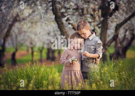 Frères et sœurs d'amour debout au milieu de terrain sur les plantes de l'orchard Banque D'Images