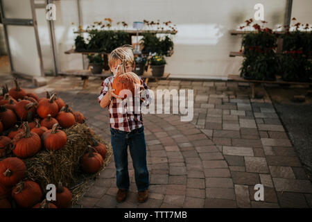 Garçon espiègle holding pumpkin en se tenant sur le sentier pavé Banque D'Images