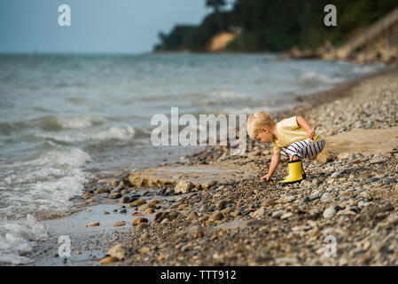 Vue latérale du boy picking cailloux tout en jouant sur le rivage Banque D'Images