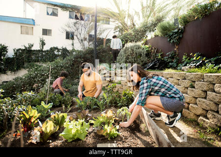 Multi-ethnic friends travaillant dans le jardin communautaire Banque D'Images