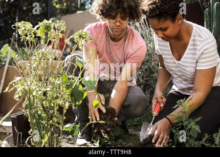 L'homme et la femme ensemble en communauté de plantation jardin Banque D'Images