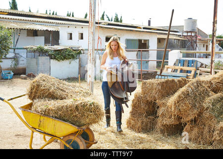 Farmer working in barn Banque D'Images