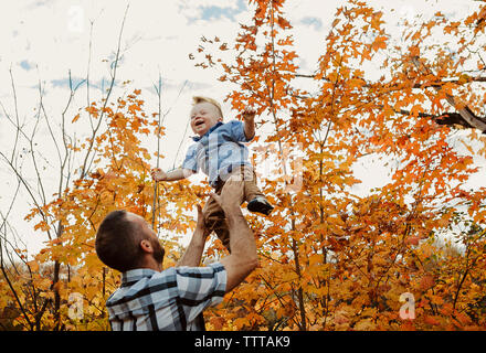 Low angle view of père fils jeter debout contre le ciel en forêt en automne Banque D'Images