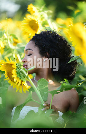 Close-up de la mariée avec les yeux fermés au milieu permanent tournesols à farm Banque D'Images