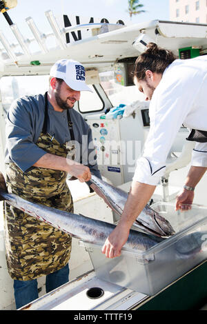 Les Bermudes. Paroisse de Hamilton. Marcus' Restaurant Chef Leonardo Marino charges jusqu'poissons fraîchement pêchés. Il achète le poisson d'un pêcheur local Banque D'Images