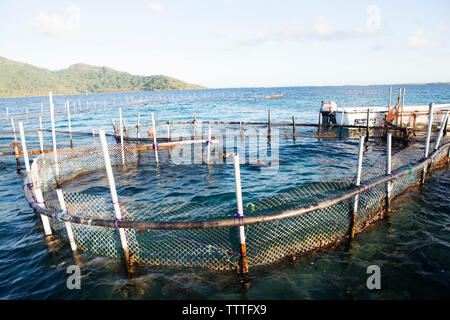 Polynésie Française, Île de Tahaa. Un pêcheur local dans son poisson le long de l'île de Tahaa. Banque D'Images