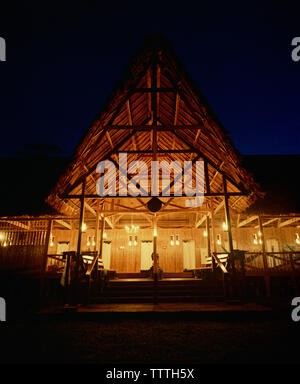 Pérou, Amazonie, Amérique du Sud, Amérique latine, illuminé la nuit, Tambopata Research Center. Banque D'Images