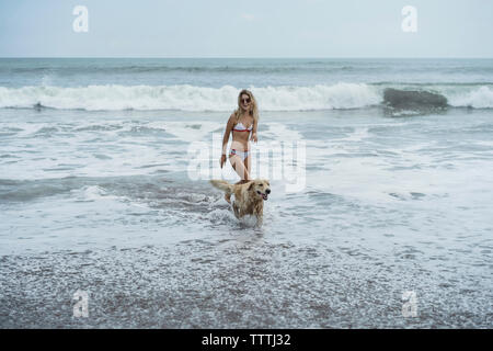 Femme et Labrador Retriever marche sur la rive en mer à beach Banque D'Images