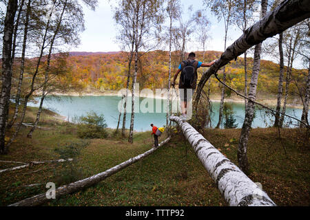 Homme backpackers marche sur branche d'arbre par rivière en forêt Banque D'Images