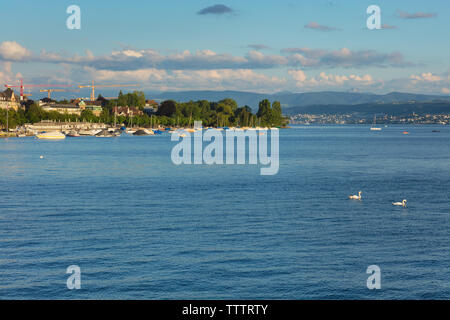 Zurich, Suisse - 16 juin 2019 : le lac de Zurich au coucher du soleil, les gens dans des bateaux, des bâtiments de la ville de Zurich, les sommets des Alpes en arrière-plan. L Banque D'Images