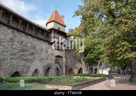 Jardin du Roi danois, Tallinn, Estonie. Selon la légende, c'est l'endroit où un drapeau est descendu du ciel pendant l'invasion danoise. Banque D'Images