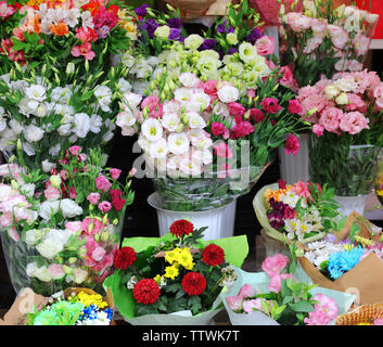 Les fleurs fraîches sur l'affichage à l'extérieur Banque D'Images