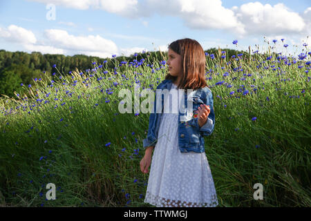 Fille en robe blanche marche sur le domaine de la beau bleu fleur de bleuet. Village paysage pastoral. Banque D'Images