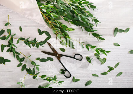 Les ciseaux et les branches d'eucalyptus vert sur fond de bois blanc Banque D'Images