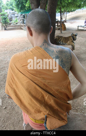 Tatouage sur un dos de moine avec un tigre en arrière-plan, Temple du tigre, Kanchanaburi, Thaïlande Banque D'Images