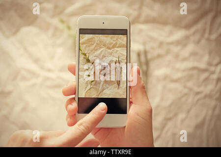 Les mains des femmes prenant des plantes photo with smartphone Banque D'Images