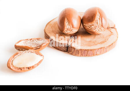 Les noix d'argan marocain sur fond bois close-up blanc isolé. Argania spinosa graines. Banque D'Images