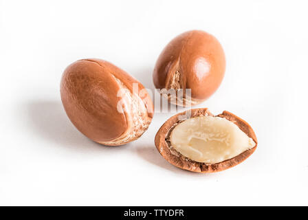 Les noix d'argan marocain sur fond bois close-up blanc isolé. Argania spinosa graines. Banque D'Images