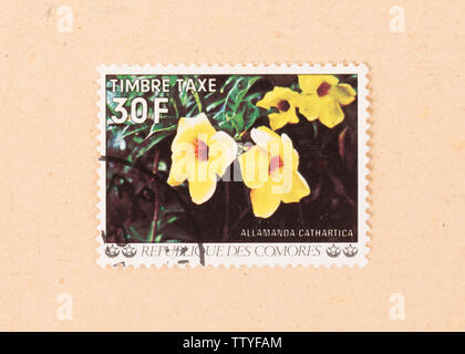 Comores - circa 1980 : timbre imprimé dans les îles Comores montre une fleur, vers 1980 Banque D'Images