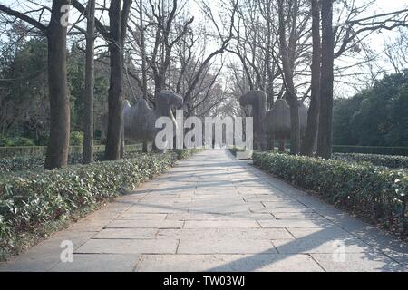 Le paysage ensoleillé de Ming Xiaoling Shichi Road à Nanjing, brille le matin de l'hiver au chaud soleil. Banque D'Images