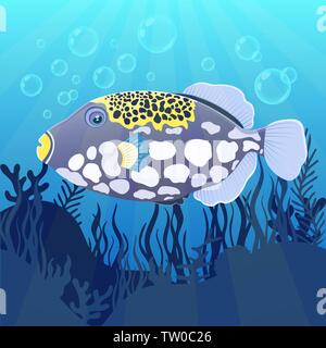 Triggerfish poisson clown au fond de mer avec des algues, dessin réaliste à plat. Joli poisson jaune violet colorées peintes avec des taches blanches flottant sur Illustration de Vecteur