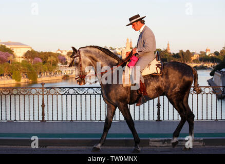 Espagne, Andalousie, Séville, Feria, équitable, festival, les gens, l'homme à cheval, Banque D'Images