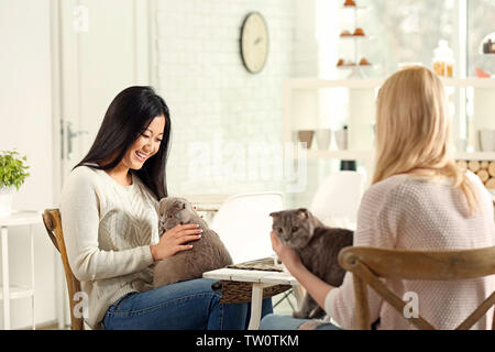 Happy women resting in cat cafe Banque D'Images