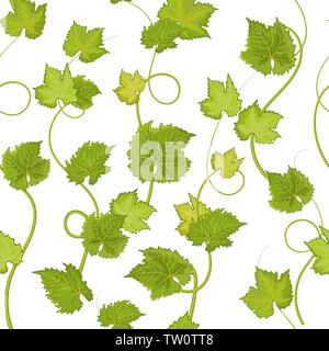 Motif transparent vecteur avec feuilles de vigne vin dessiné à la main. Éléments de conception florale magnifique, parfait pour les impressions et les modèles Illustration de Vecteur