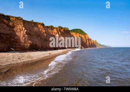 Falaises de grès rouge sur la côte jurassique près de Sidmouth, Devon, UK Banque D'Images