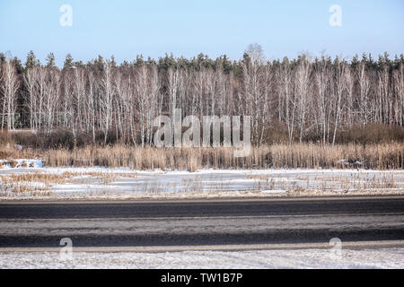 Autoroute à travers la forêt d'hiver Banque D'Images