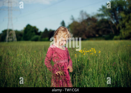 Beau mignon adorable preschool Caucasian girl walking in tall grass prairie haute sur au coucher du soleil. Heureux l'enfant kid profitant de l'été. Authentique de vie Banque D'Images