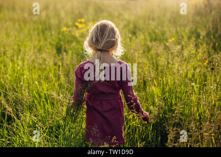 Preschool Caucasian girl walking in tall grass prairie haute sur au coucher du soleil. Heureux l'enfant kid profitant de l'été. Authentique de vie l'enfance. Nombre de Village Banque D'Images