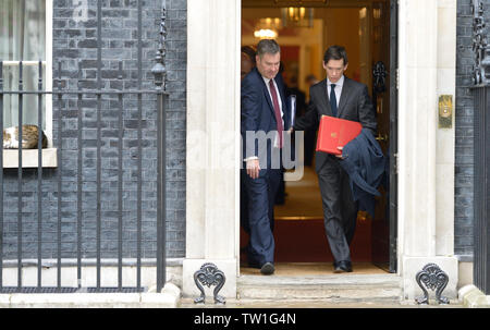 Londres, Royaume-Uni. 18 Juin, 2019. David Gauke Justice (secrétaire) et Rory Stewart (Développement International) quitter Downing Street après une réunion à No 10. Larry le chat dort sur Banque D'Images