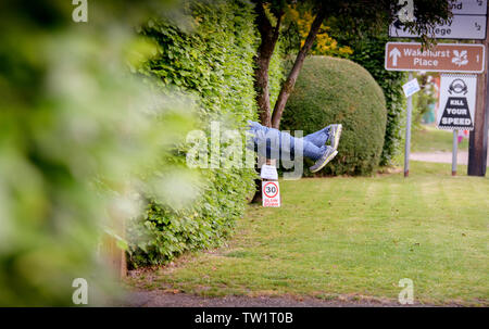 Un épouvantail est placé dans une haie pour simuler une personne plongée pour couvrir les automobilistes de l'accélération dans le village de Ardingly, West Sussex, UK. Banque D'Images