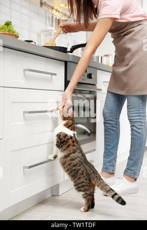 Jeune femme chat mignon alimentation pendant la cuisson dans la cuisine Banque D'Images