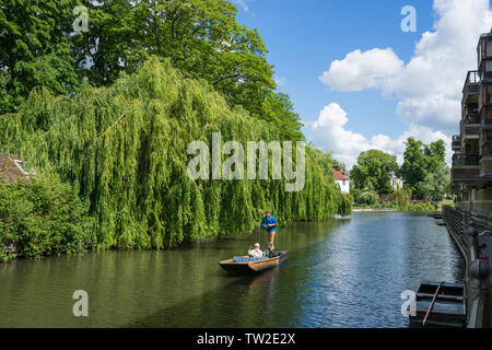 Couple being punted le long de la rivière Cam Cambridge 2019 Banque D'Images