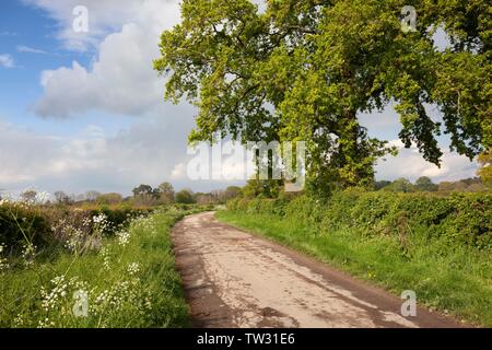 Cotswold country lane près de Chipping Campden, Gloucestershire, Angleterre. Banque D'Images