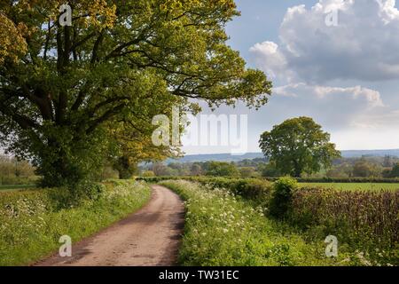 Cotswold country lane près de Chipping Campden, Gloucestershire, Angleterre. Banque D'Images
